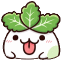 꼼쌍추