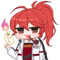 RIOORI
