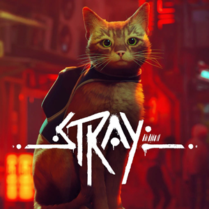 스트레이